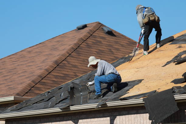 Best Siding Services  in Copperas Cove, TX